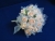 Фото  | Planet Wedding