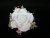 Фото  | Planet Wedding