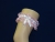 Фото  | Planet Wedding