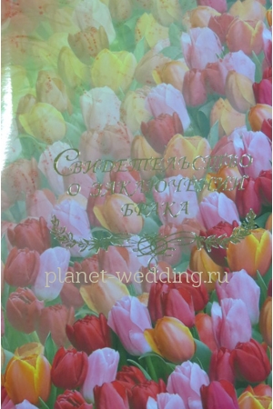 Фото  | Planet Wedding
