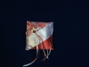 Фото  | Planet Wedding