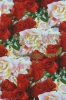 Фото  | Planet Wedding